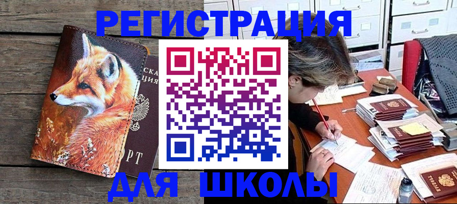 где прописаться в Купино